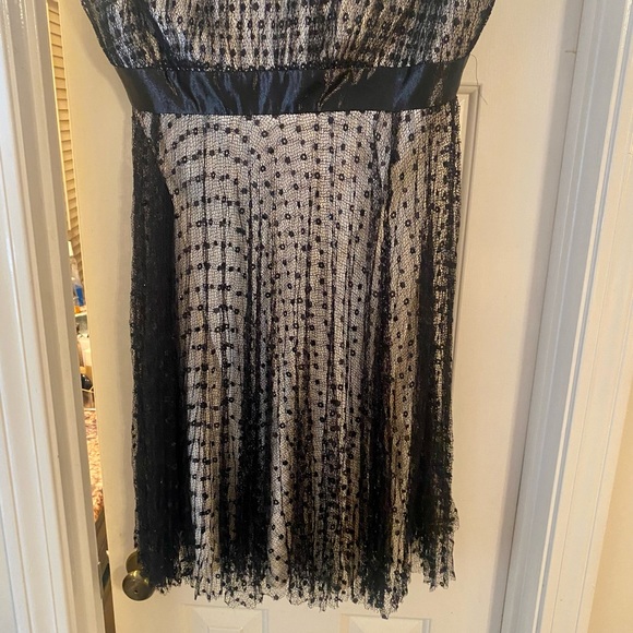 Carmen Marc Valvo Silk And Lace Dress - Picture 4 of 4